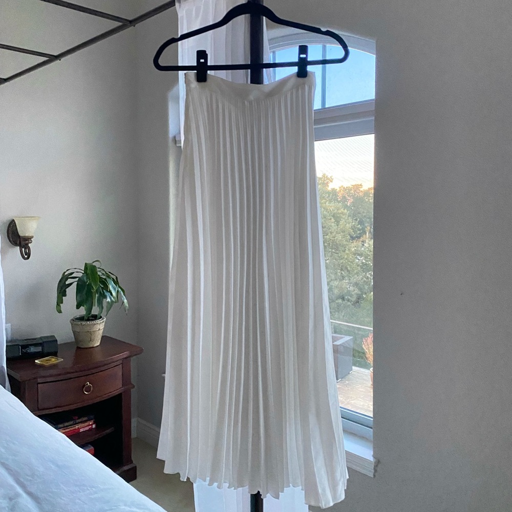 ZARA Pleated Skirt